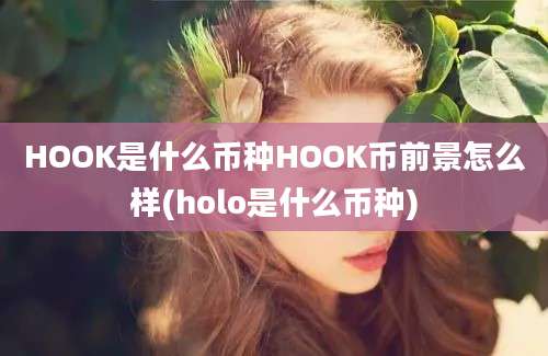 HOOK是什么币种HOOK币前景怎么样(holo是什么币种)