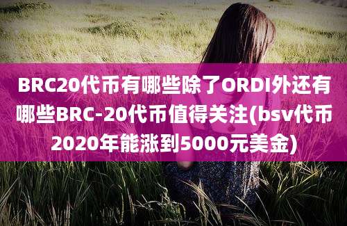 BRC20代币有哪些除了ORDI外还有哪些BRC-20代币值得关注(bsv代币2020年能涨到5000元美金)