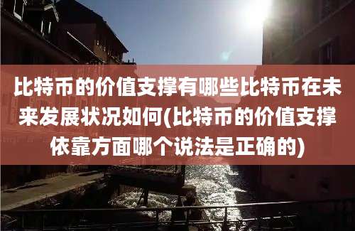 比特币的价值支撑有哪些比特币在未来发展状况如何(比特币的价值支撑依靠方面哪个说法是正确的)