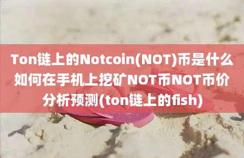 Ton链上的Notcoin(NOT)币是什么如何在手机上挖矿NOT币NOT币价分析预测(ton链上的fish)