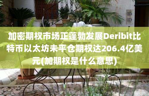 加密期权市场正蓬勃发展Deribit比特币以太坊未平仓期权达206.4亿美元(加期权是什么意思)