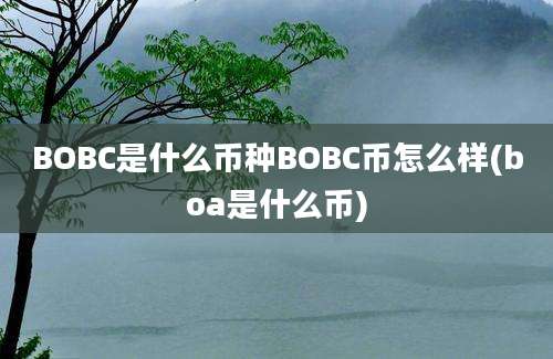 BOBC是什么币种BOBC币怎么样(boa是什么币)