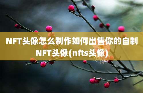 NFT头像怎么制作如何出售你的自制NFT头像(nfts头像)