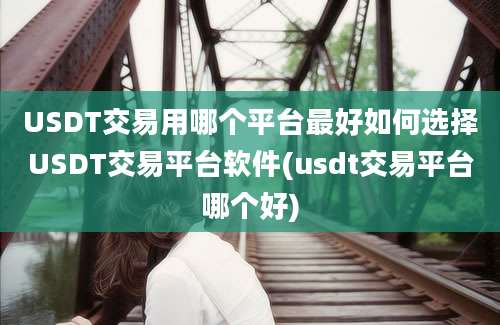 USDT交易用哪个平台最好如何选择USDT交易平台软件(usdt交易平台哪个好)