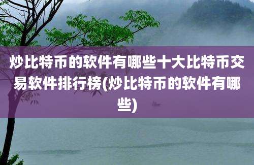 炒比特币的软件有哪些十大比特币交易软件排行榜(炒比特币的软件有哪些)