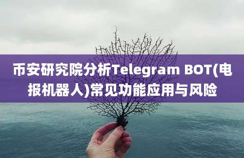 币安研究院分析Telegram BOT(电报机器人)常见功能应用与风险