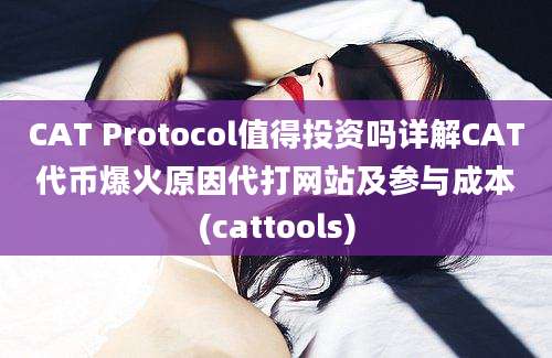 CAT Protocol值得投资吗详解CAT代币爆火原因代打网站及参与成本(cattools)