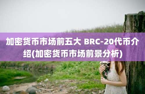 加密货币市场前五大 BRC-20代币介绍(加密货币市场前景分析)