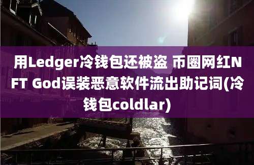 用Ledger冷钱包还被盗 币圈网红NFT God误装恶意软件流出助记词(冷钱包coldlar)