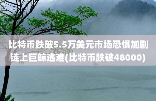 比特币跌破5.5万美元市场恐惧加剧链上巨鲸逃难(比特币跌破48000)