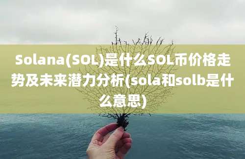 Solana(SOL)是什么SOL币价格走势及未来潜力分析(sola和solb是什么意思)