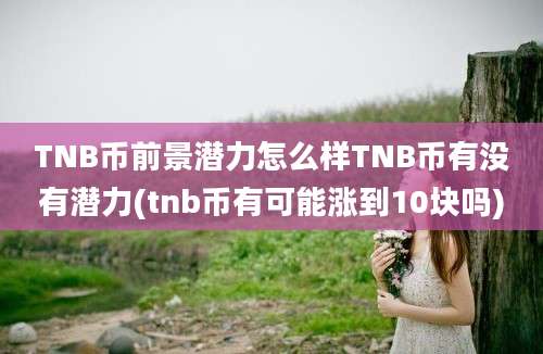 TNB币前景潜力怎么样TNB币有没有潜力(tnb币有可能涨到10块吗)