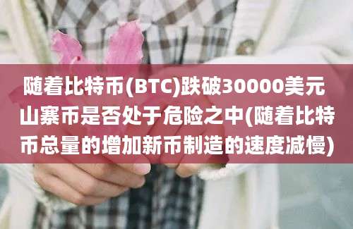 随着比特币(BTC)跌破30000美元 山寨币是否处于危险之中(随着比特币总量的增加新币制造的速度减慢)