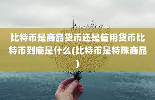 比特币是商品货币还是信用货币比特币到底是什么(比特币是特殊商品)