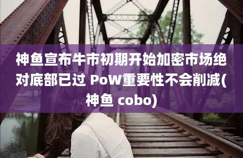 神鱼宣布牛市初期开始加密市场绝对底部已过 PoW重要性不会削减(神鱼 cobo)