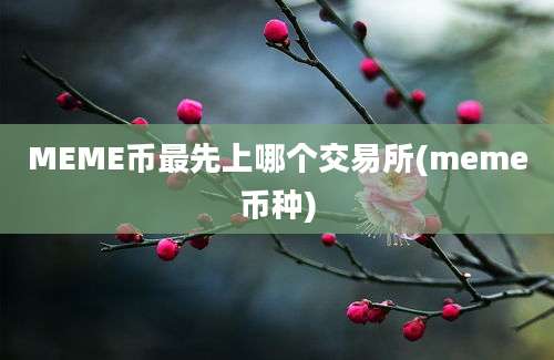 MEME币最先上哪个交易所(meme币种)