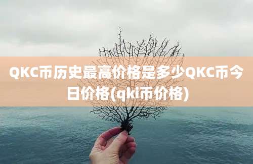 QKC币历史最高价格是多少QKC币今日价格(qki币价格)