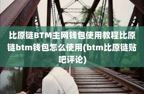 比原链BTM主网钱包使用教程比原链btm钱包怎么使用(btm比原链贴吧评论)