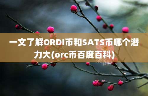 一文了解ORDI币和SATS币哪个潜力大(orc币百度百科)