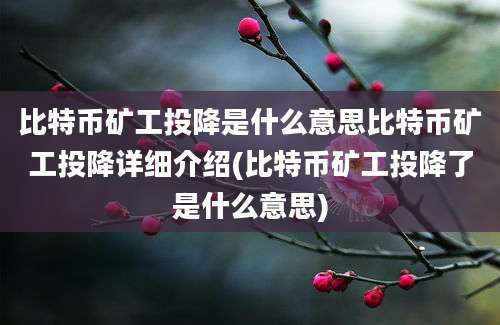 比特币矿工投降是什么意思比特币矿工投降详细介绍(比特币矿工投降了是什么意思)