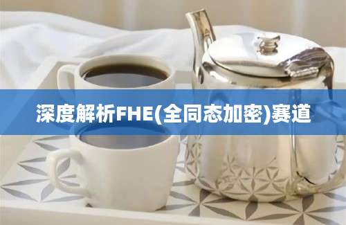 深度解析FHE(全同态加密)赛道