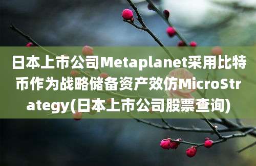 日本上市公司Metaplanet采用比特币作为战略储备资产效仿MicroStrategy(日本上市公司股票查询)