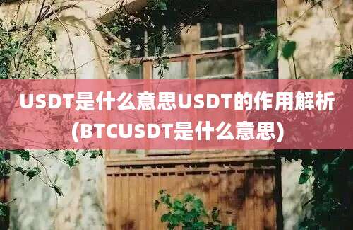 USDT是什么意思USDT的作用解析(BTCUSDT是什么意思)