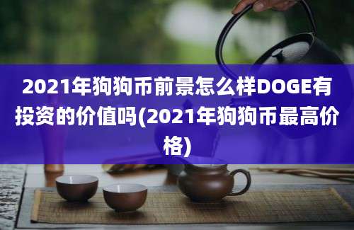 2021年狗狗币前景怎么样DOGE有投资的价值吗(2021年狗狗币最高价格)