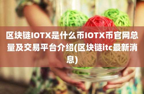 区块链IOTX是什么币IOTX币官网总量及交易平台介绍(区块链itc最新消息)