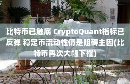 比特币已触底 CryptoQuant指标已反弹 稳定币流动性仍是阻碍主因(比特币再次大幅下挫)