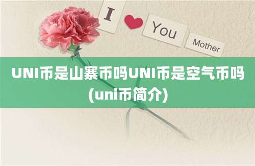 UNI币是山寨币吗UNI币是空气币吗(uni币简介)