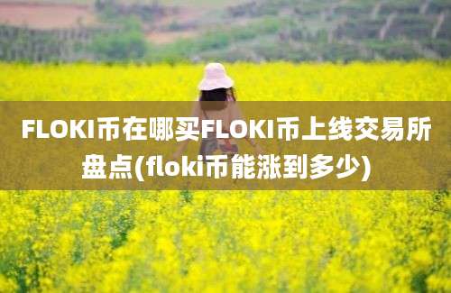 FLOKI币在哪买FLOKI币上线交易所盘点(floki币能涨到多少)