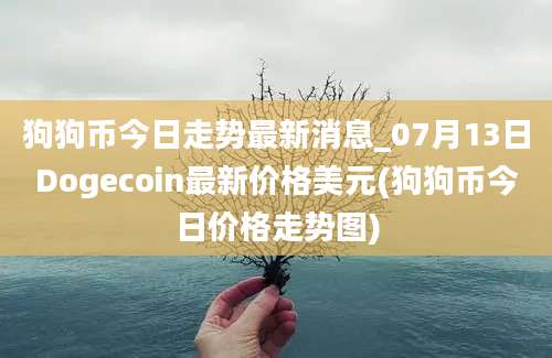 狗狗币今日走势最新消息_07月13日Dogecoin最新价格美元(狗狗币今日价格走势图)