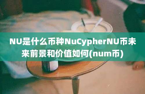 NU是什么币种NuCypherNU币未来前景和价值如何(num币)