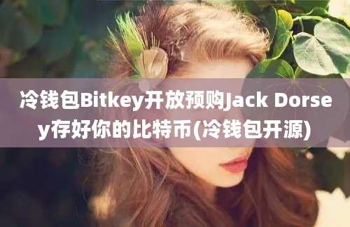 冷钱包Bitkey开放预购Jack Dorsey存好你的比特币(冷钱包开源)