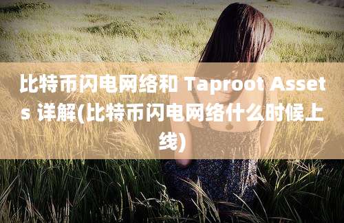 比特币闪电网络和 Taproot Assets 详解(比特币闪电网络什么时候上线)