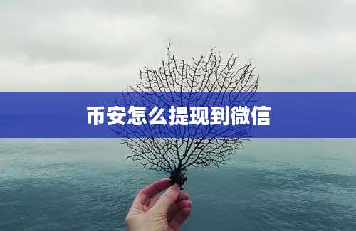 币安怎么提现到微信