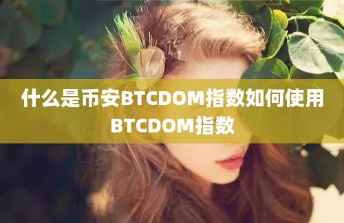 什么是币安BTCDOM指数如何使用BTCDOM指数