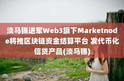 淡马锡进军Web3旗下Marketnode将推区块链资金结算平台 发代币化信贷产品(淡马锡)