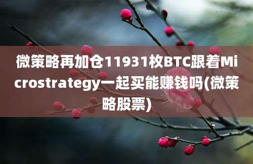 微策略再加仓11931枚BTC跟着Microstrategy一起买能赚钱吗(微策略股票)