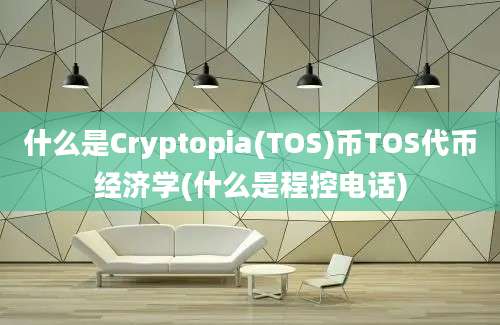 什么是Cryptopia(TOS)币TOS代币经济学(什么是程控电话)