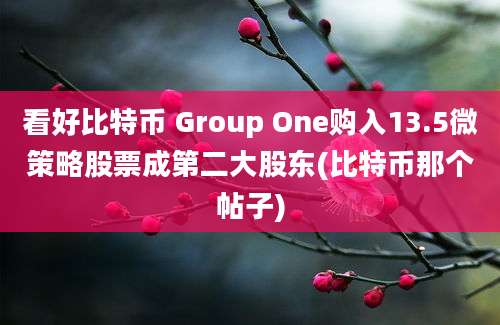 看好比特币 Group One购入13.5微策略股票成第二大股东(比特币那个帖子)