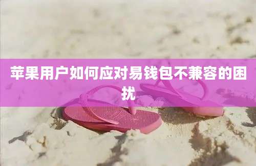 苹果用户如何应对易钱包不兼容的困扰