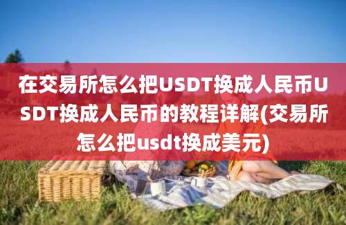 在交易所怎么把USDT换成人民币USDT换成人民币的教程详解(交易所怎么把usdt换成美元)