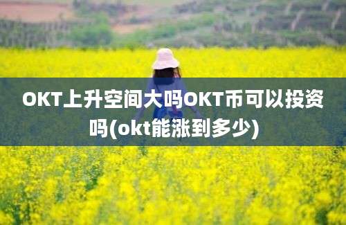 OKT上升空间大吗OKT币可以投资吗(okt能涨到多少)