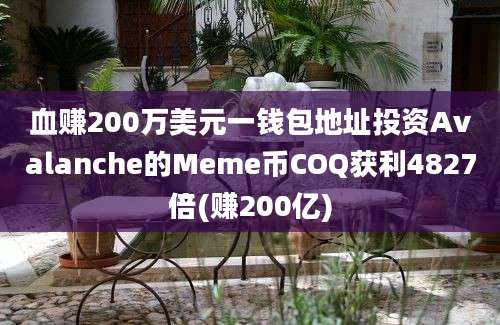 血赚200万美元一钱包地址投资Avalanche的Meme币COQ获利4827倍(赚200亿)