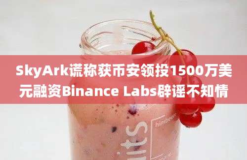 SkyArk谎称获币安领投1500万美元融资Binance Labs辟谣不知情