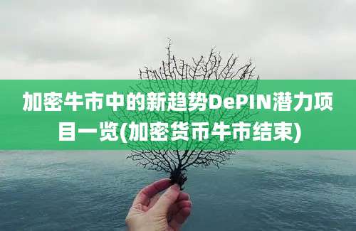 加密牛市中的新趋势DePIN潜力项目一览(加密货币牛市结束)