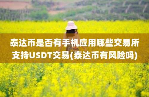 泰达币是否有手机应用哪些交易所支持USDT交易(泰达币有风险吗)