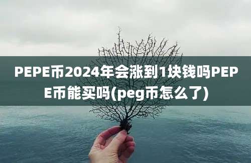 PEPE币2024年会涨到1块钱吗PEPE币能买吗(peg币怎么了)